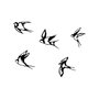 Wallity Swallows - 303 Negro